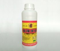 Y2009麻辣伴侶
